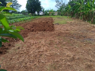 Dijual Tanah Di Pasir Randu Cikarang